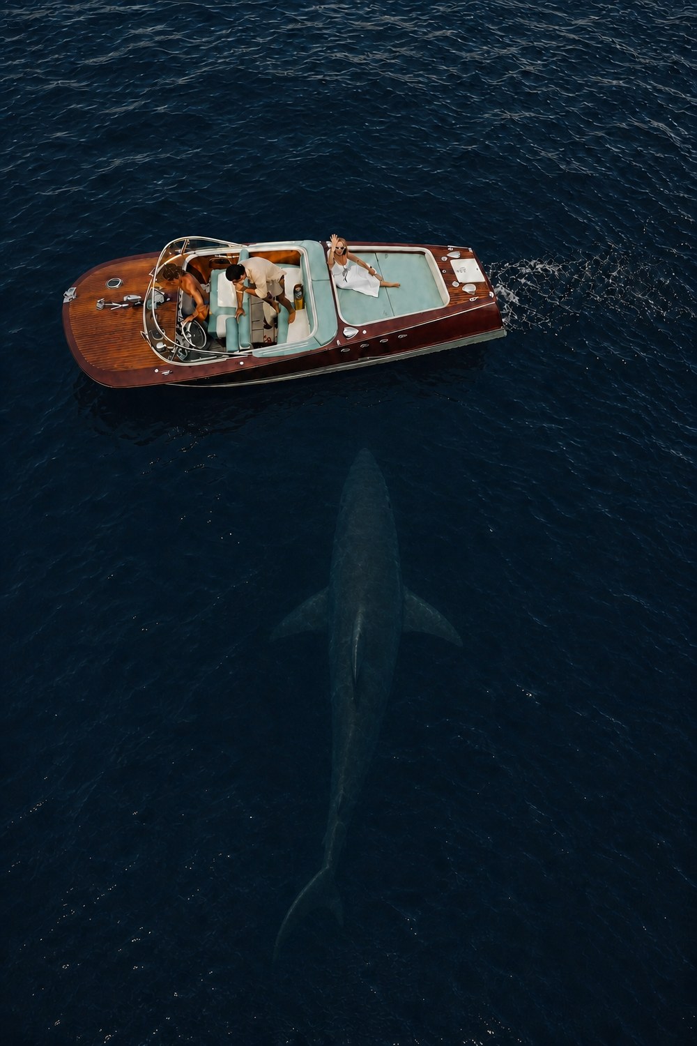 Ocean Vibes