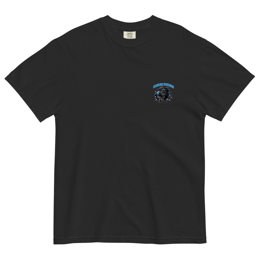 Panthers Logo