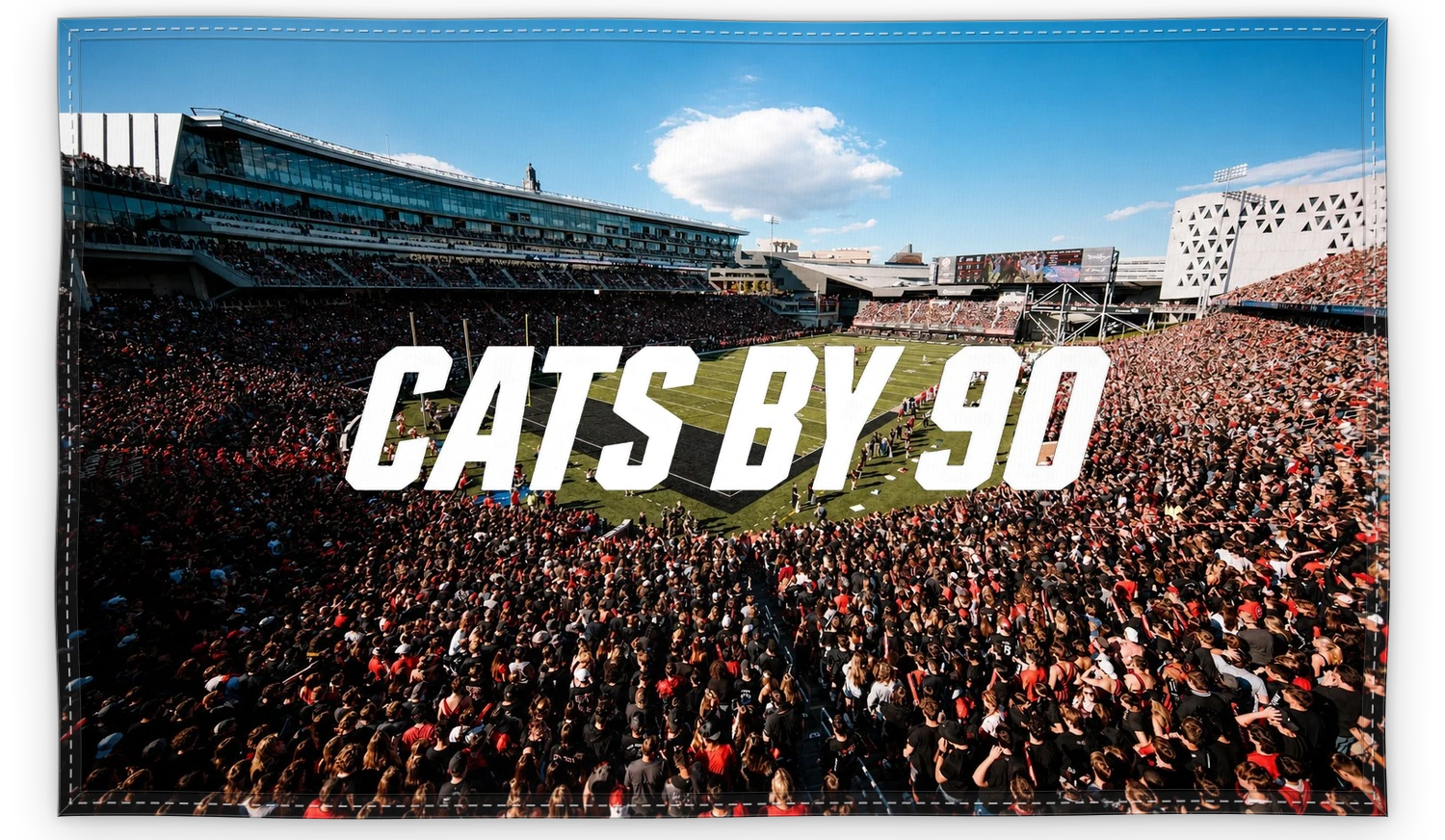 Cats by 90