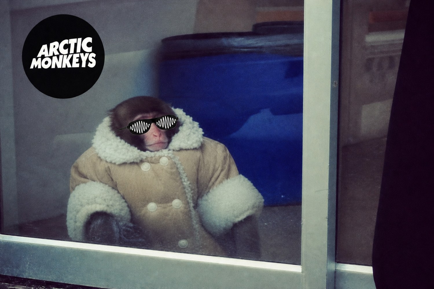 arctic monkeys